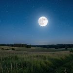 Une pleine lune lumineuse éclaire un paysage d'été nocturne composé de champs, d'herbes sauvages et d'une ligne d'arbres sous un ciel étoilé.